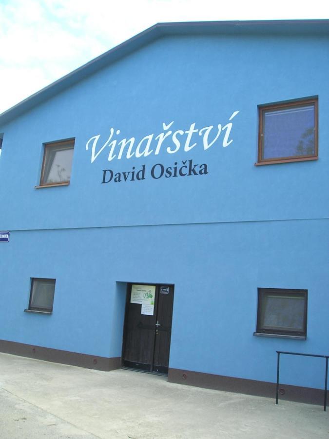 شقة Vinarstvi David Osicka Velké Bílovice المظهر الخارجي الصورة