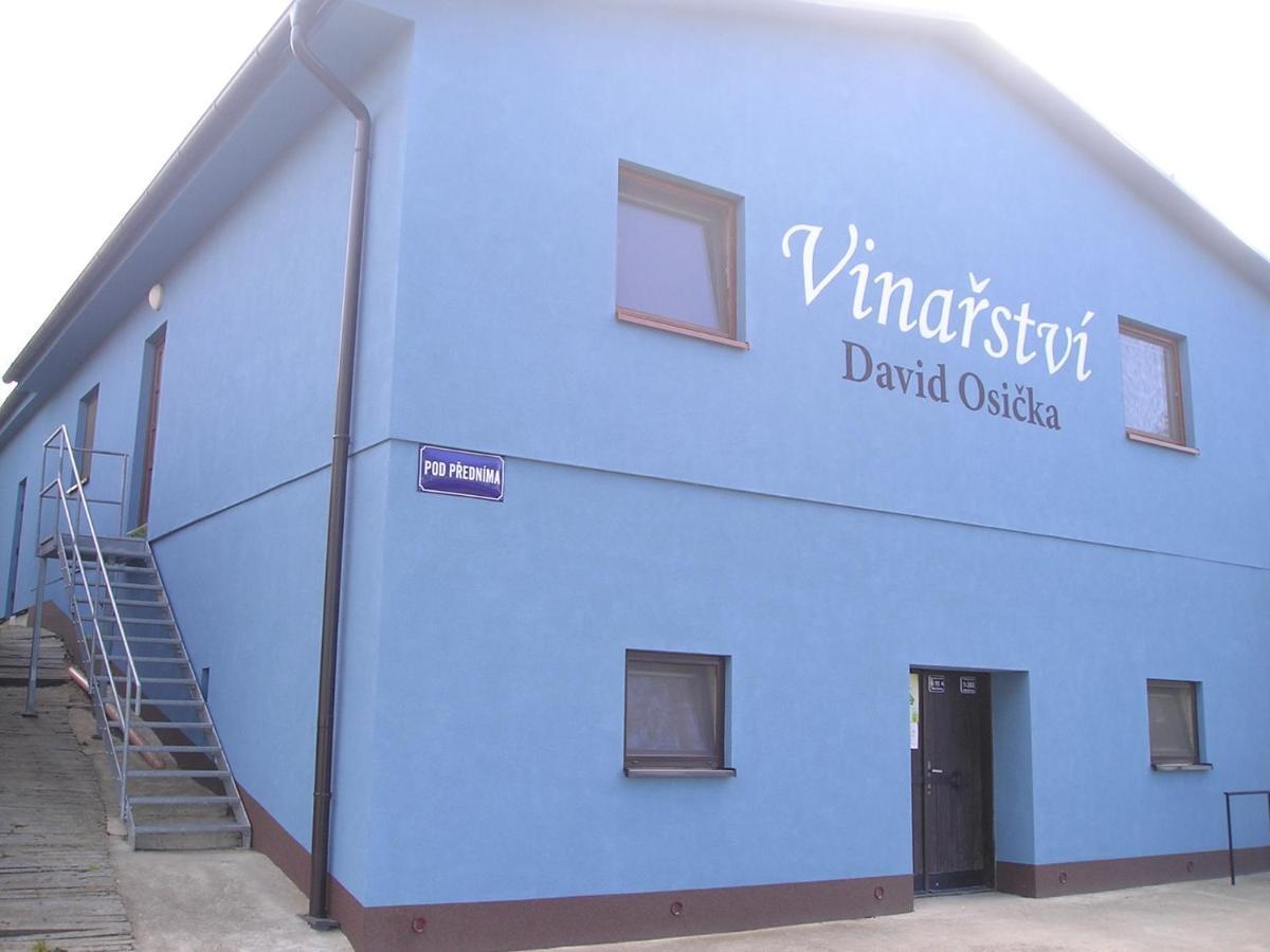 شقة Vinarstvi David Osicka Velké Bílovice المظهر الخارجي الصورة